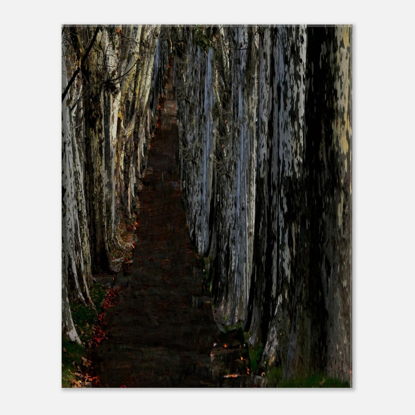 8a5e207d-a20f-4f4c-8cac-755ecb4aa390