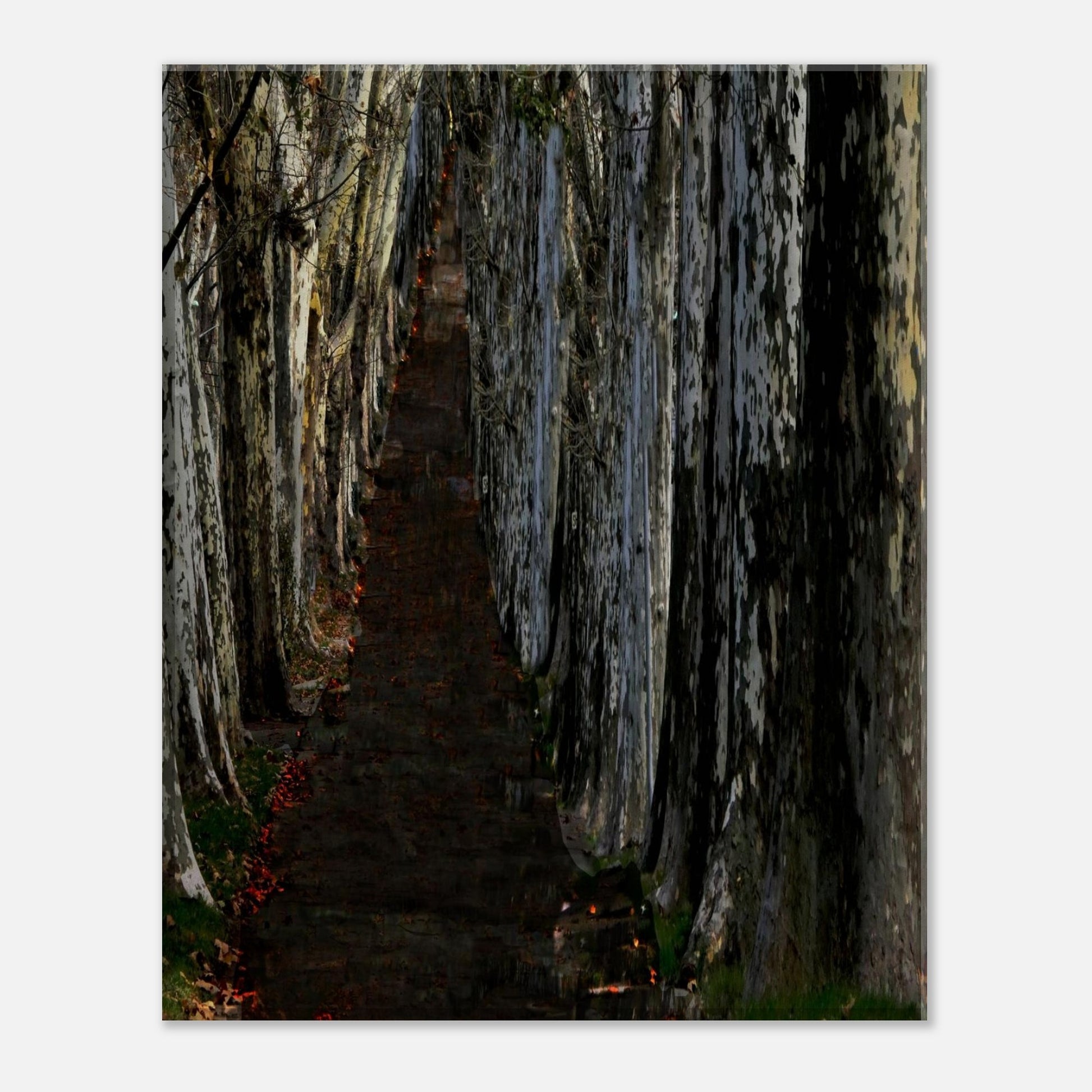 8a5e207d-a20f-4f4c-8cac-755ecb4aa390