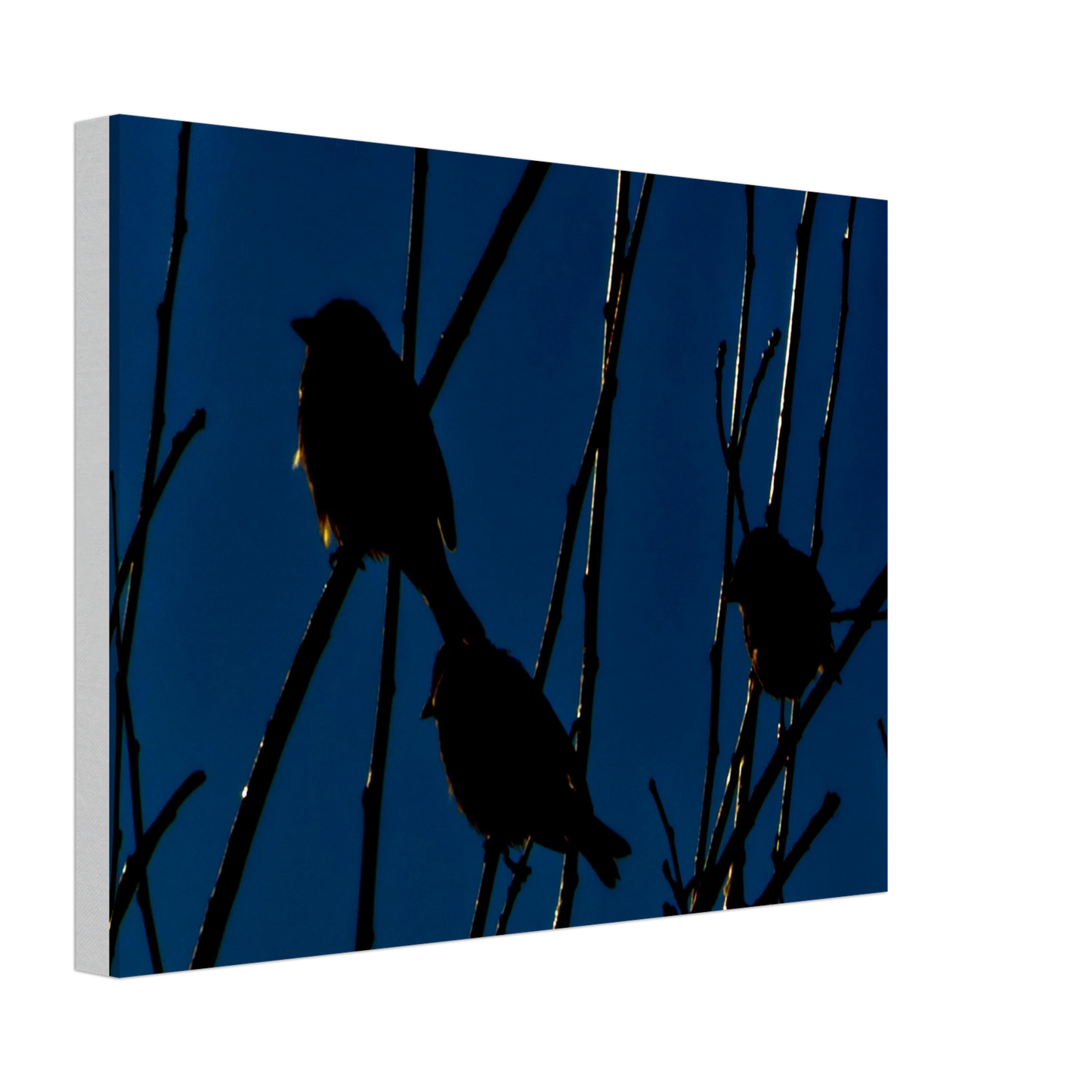 8c85bc5b-947d-4089-af05-28d13b66faa1