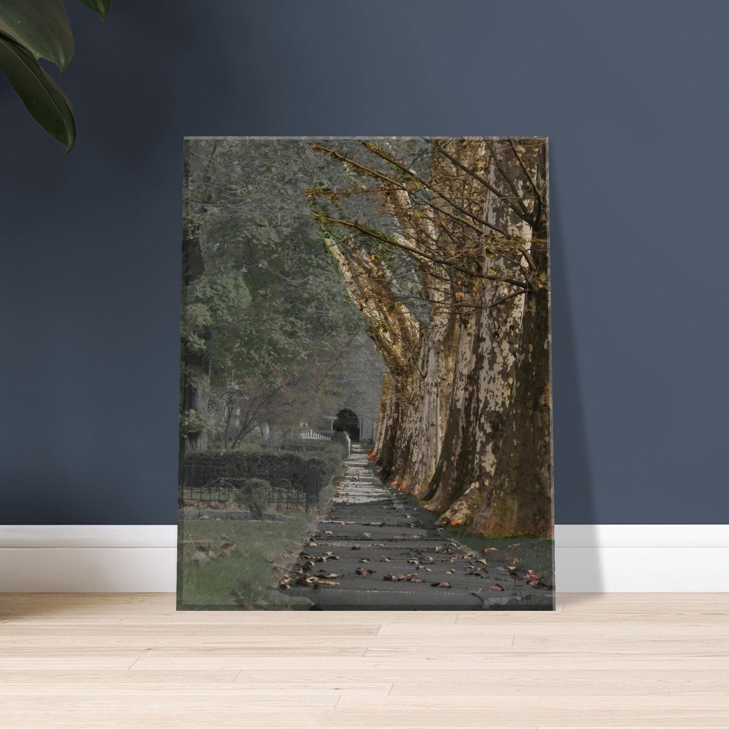 8cafcd5b-f1d6-46b7-9d1c-579885d03ce5