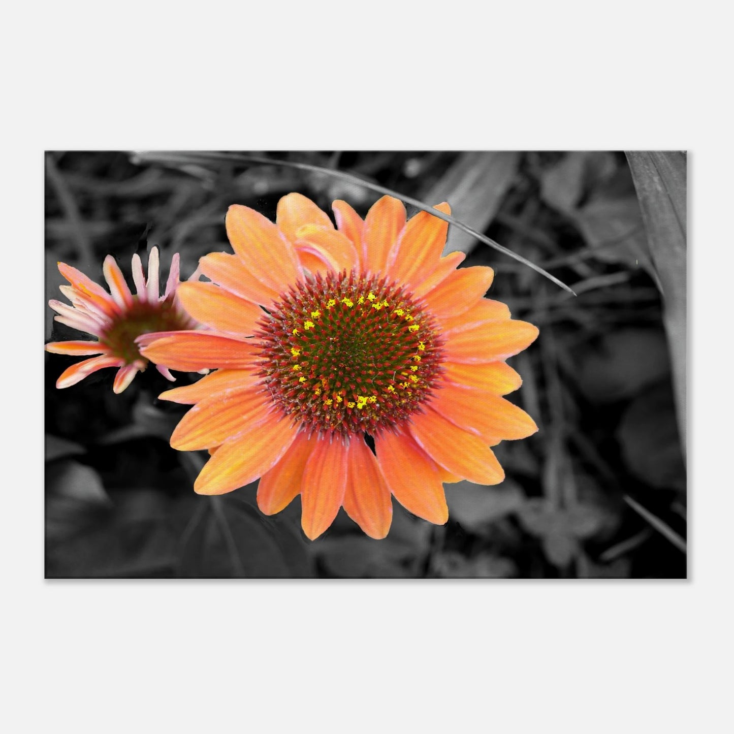 96bbcfa7-b72e-406c-8f3d-f0fdbe153145