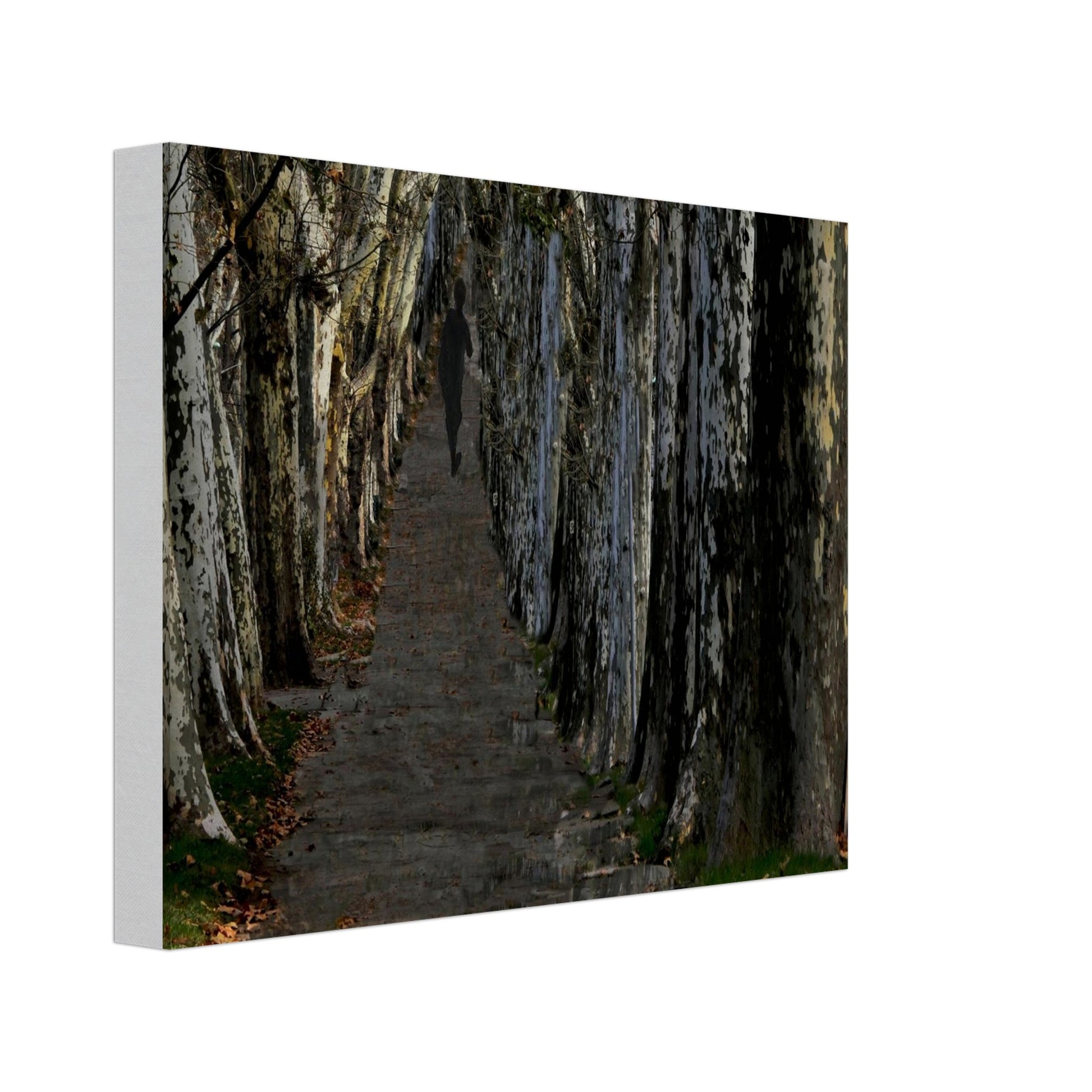 9700c13f-32aa-4a05-a435-bd429da979b0