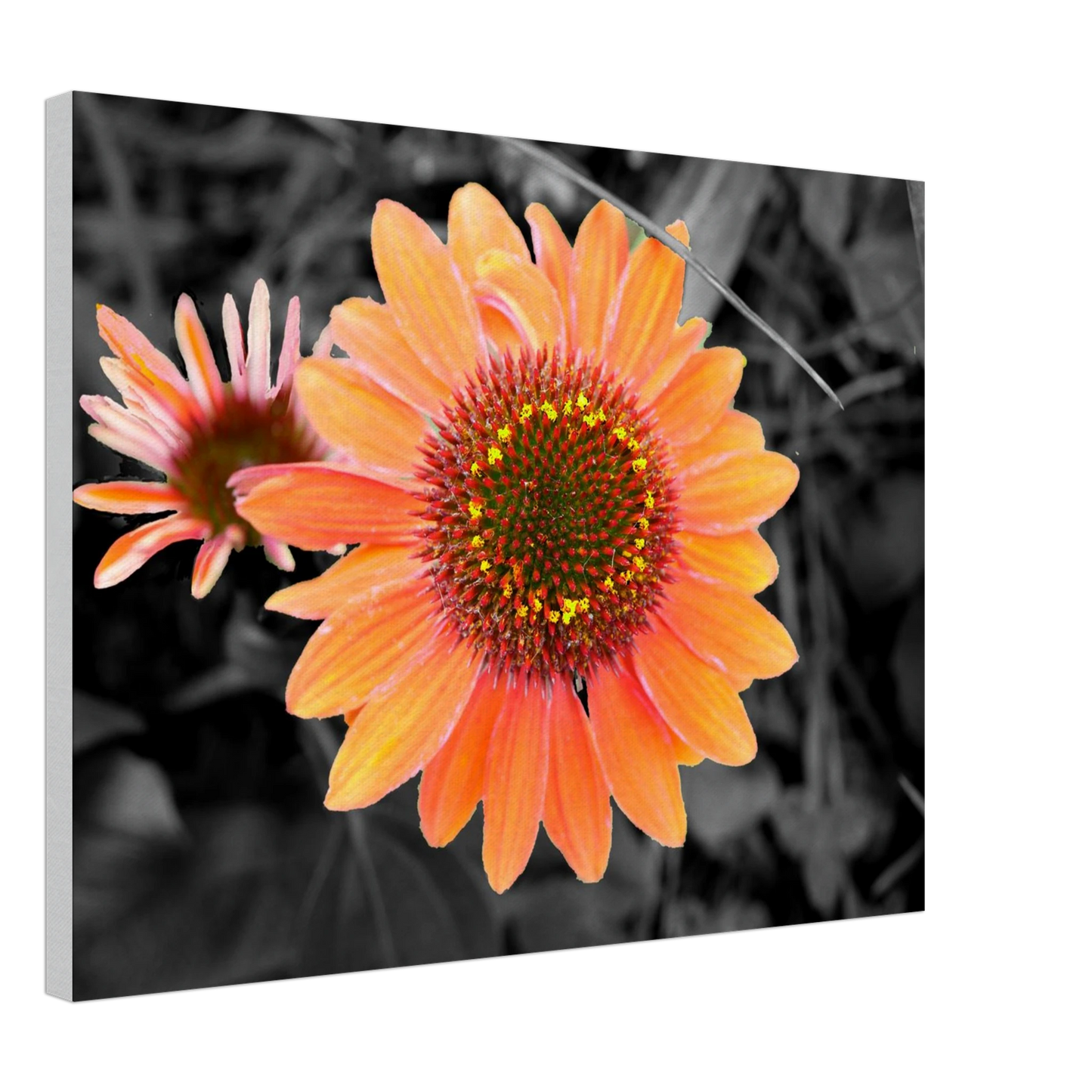 a4e61afa-13a7-45b7-bbf6-15a86f18e738