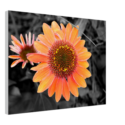 a4e61afa-13a7-45b7-bbf6-15a86f18e738