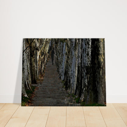 a5f2ab25-5c5f-47aa-a92a-557b6e9b4674