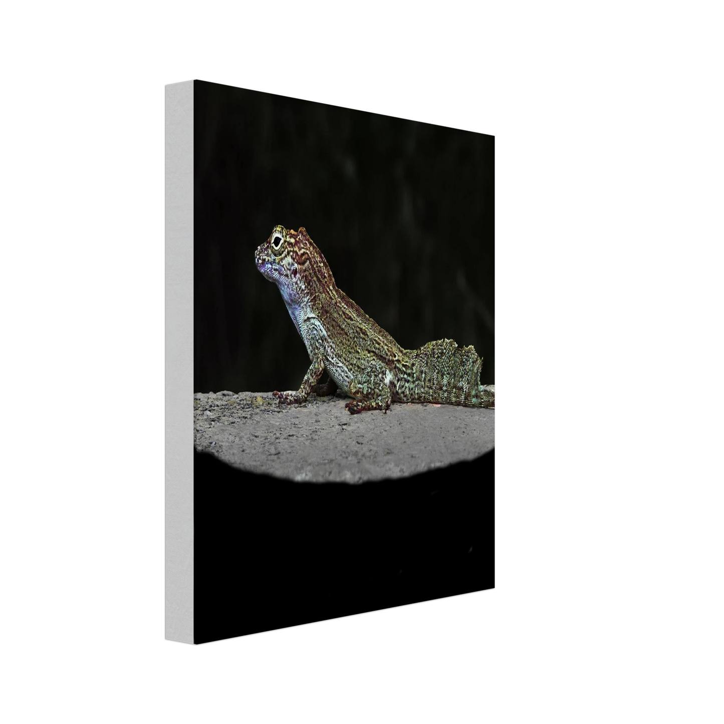 a86edc79-ef91-4428-9dd3-4fafd1d98a93