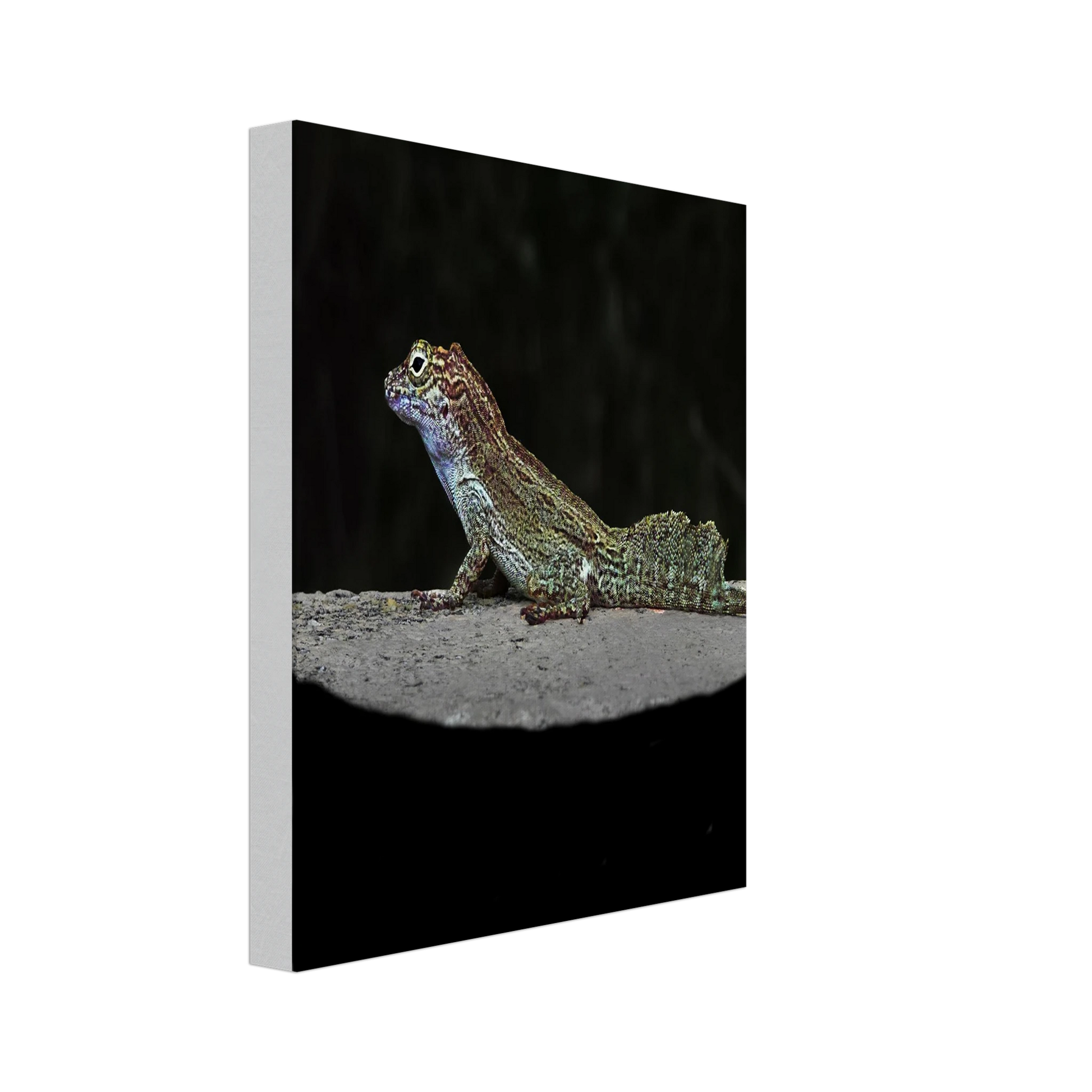 a86edc79-ef91-4428-9dd3-4fafd1d98a93