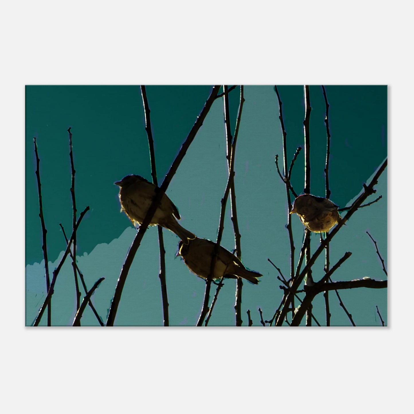 ac6c9ac4-eeea-4302-aa8d-1d9b2536529c