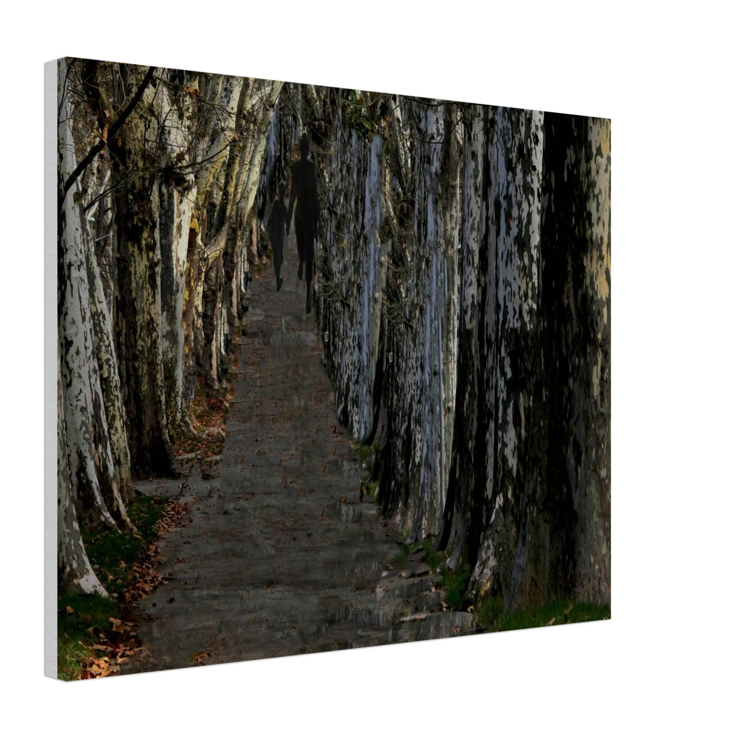 adf8b513-0656-4d7b-b7cc-bd8f4b3b13b6