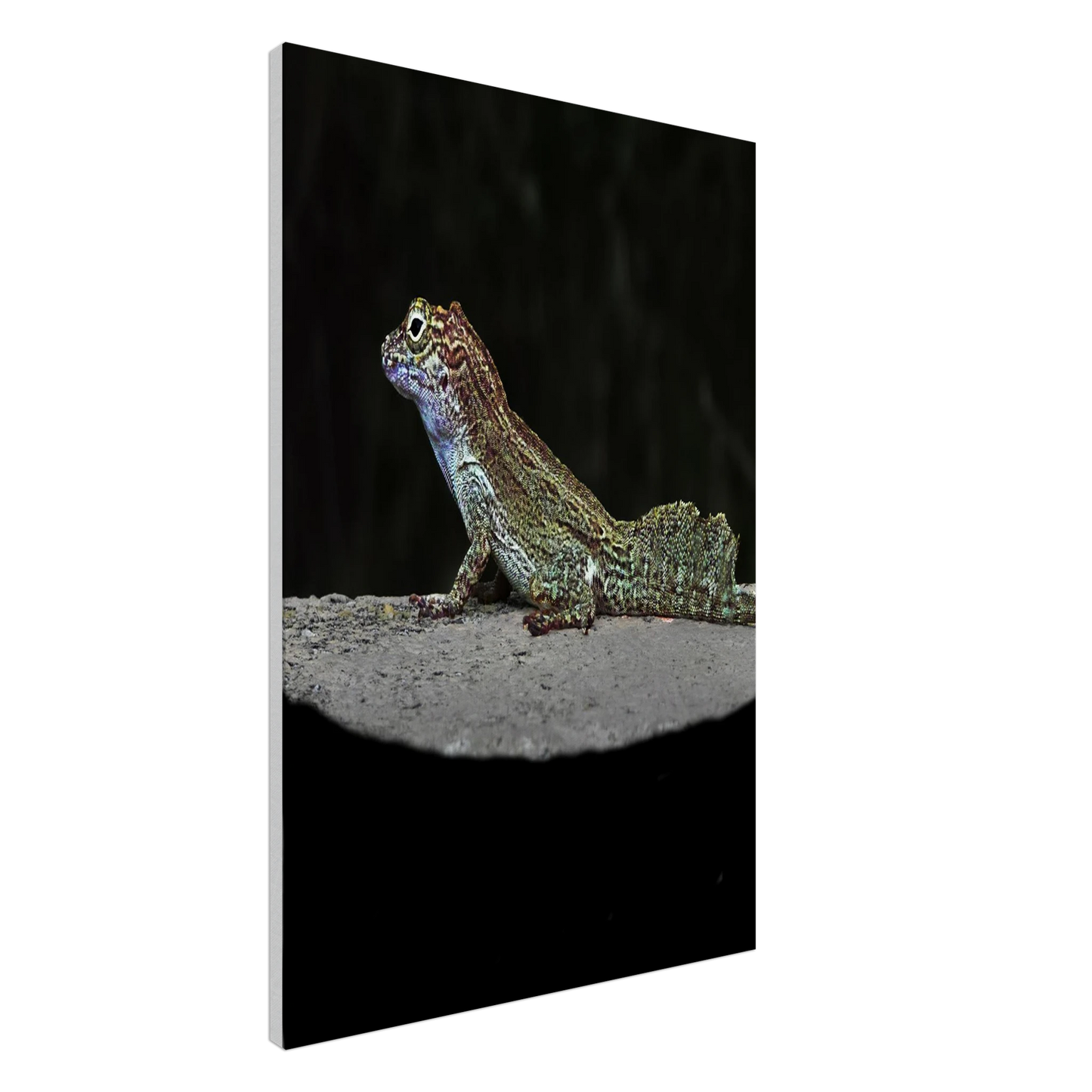 b3811562-aca2-40c9-a75a-7b2d2e6ee3d4