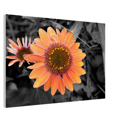 b453161b-aab0-43cd-bd74-e3346fe3639c