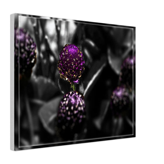 b735a7c4-78da-4de3-93aa-f67cce8c82c1