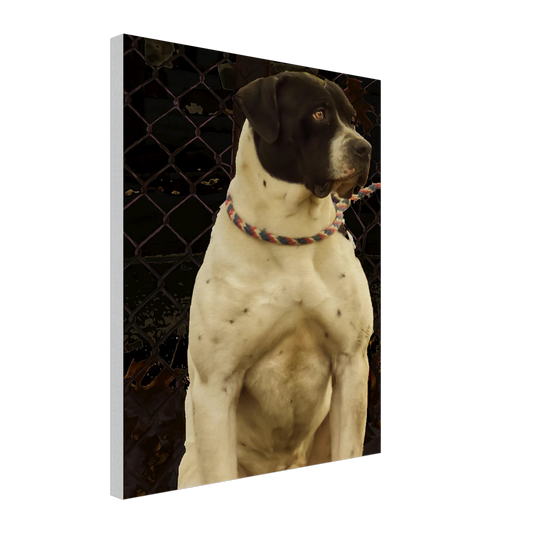 b8c66152-ac0a-4fdc-9839-4e4b30e55af0