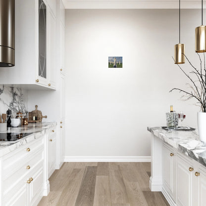 ba3dca00-afc6-451a-939e-8a7d79eed457