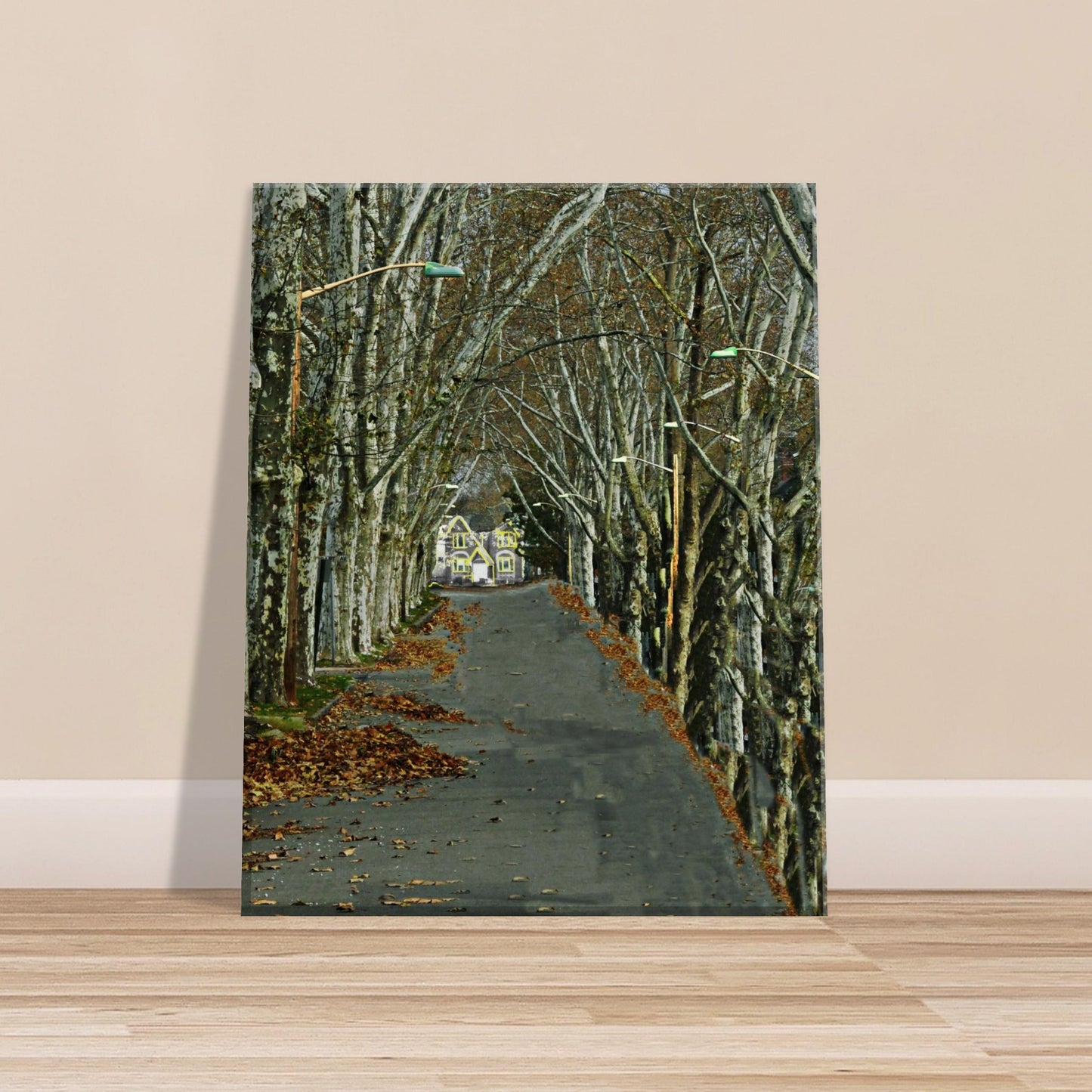 bb847c7b-fe9a-4988-ae48-d341c74c67b8