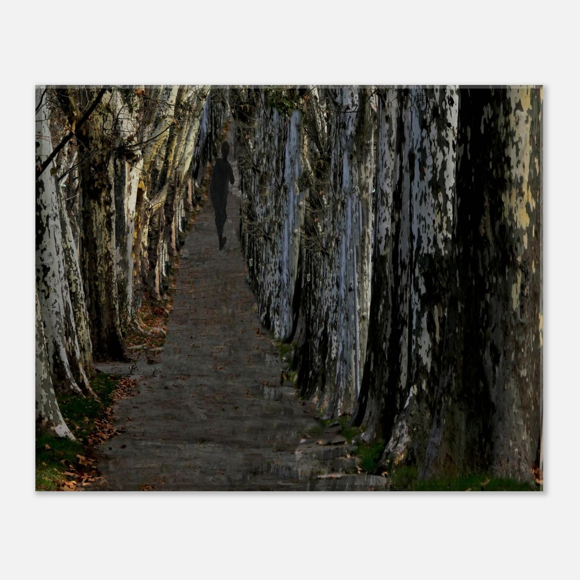 bc1c23de-6b00-401e-9c39-bc70c255dc23