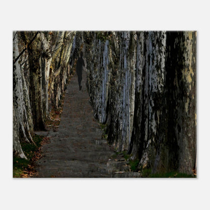 bc1c23de-6b00-401e-9c39-bc70c255dc23