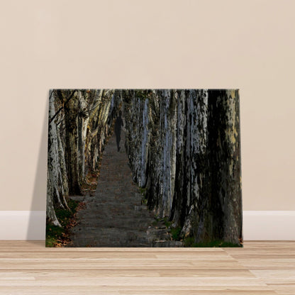 bd2bcf59-5479-4870-b77c-1ca0686f7907