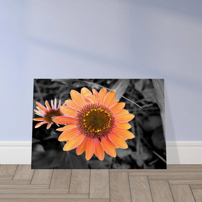 c2548c5f-6706-48b7-89d5-d8f194c06095