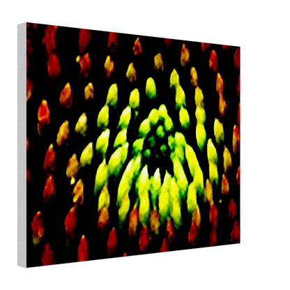 c7e41f84-5177-46e8-a731-ab9485ebfc78