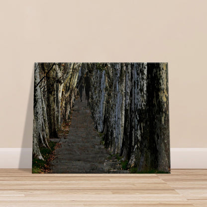 ca2e5e32-562a-4131-84fe-68ac069fd79b