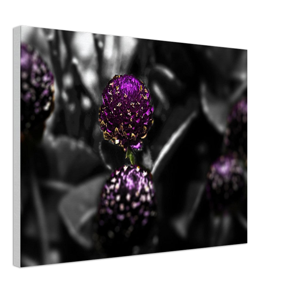 cccb5bb0-efb4-4e28-8d50-f26fe3c002bd