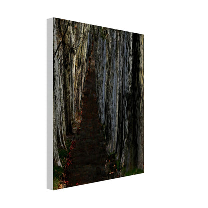 d3a1f1a7-9305-4ea0-8aab-85292e9800b2