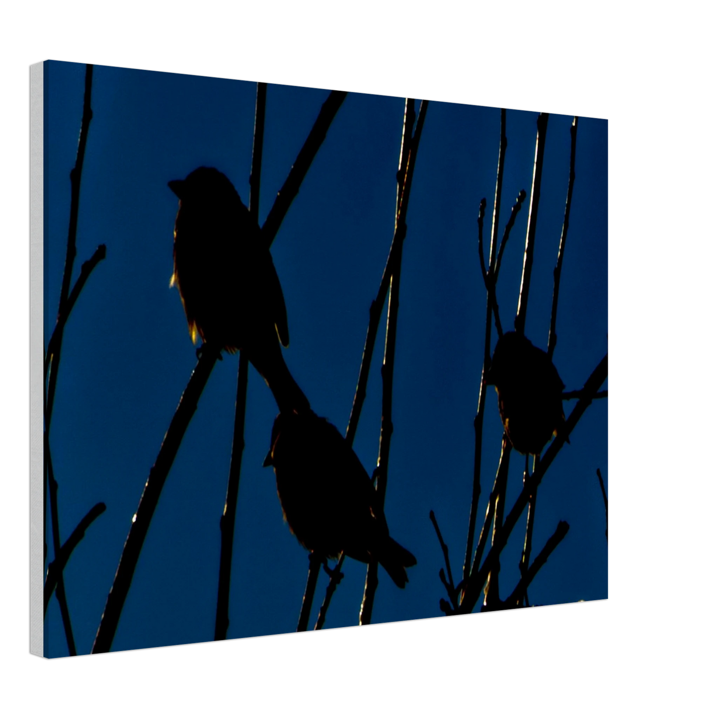 d462c0f1-c7b4-4dba-a6b5-5b58941fff1a