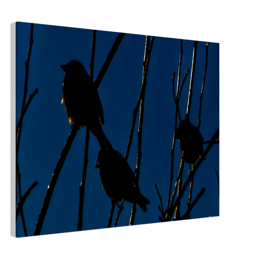 d462c0f1-c7b4-4dba-a6b5-5b58941fff1a