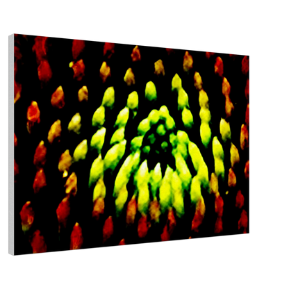 d47aa021-31f2-4d22-b1a9-c97a724362e0