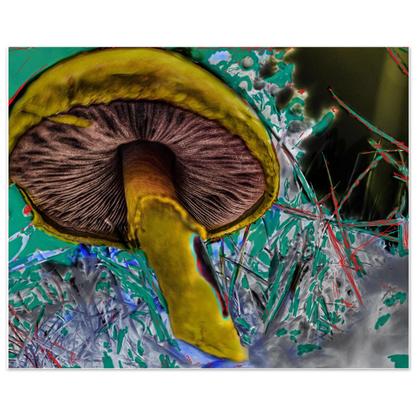d74c7aaf-0a19-434d-97a2-b6ee3302ec3b