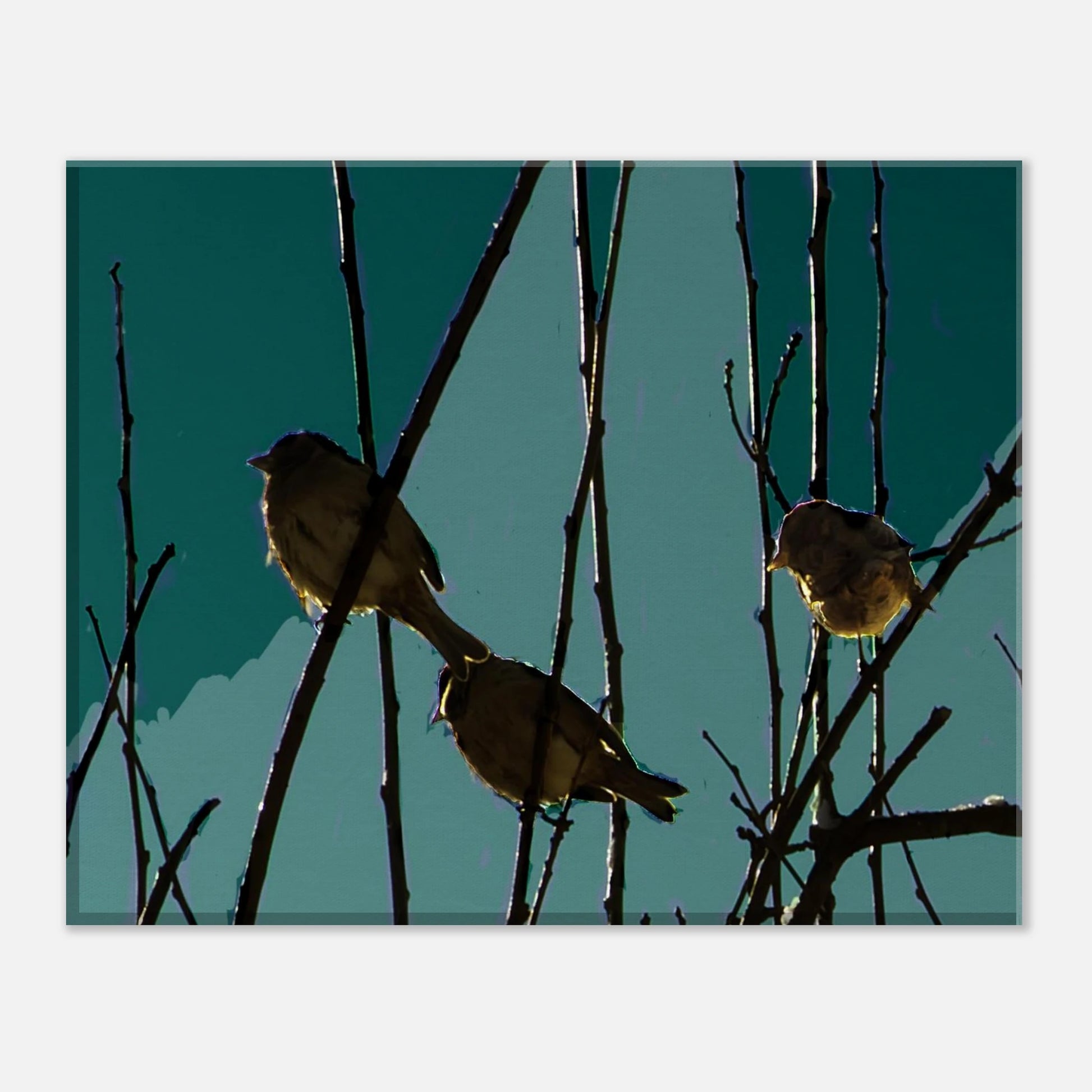 dba51abd-497f-4870-8795-55fcbc1bb5ff