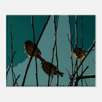 dba51abd-497f-4870-8795-55fcbc1bb5ff