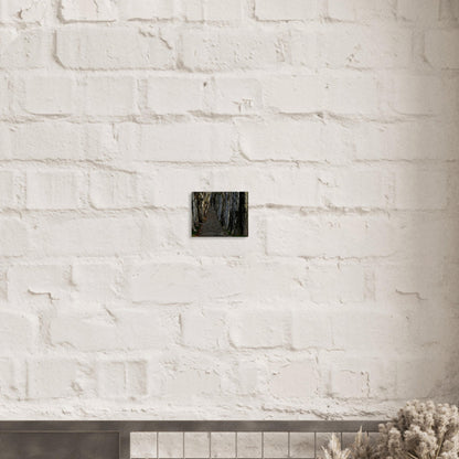 dd8803cb-4b7d-4b70-8508-1838629db7b9