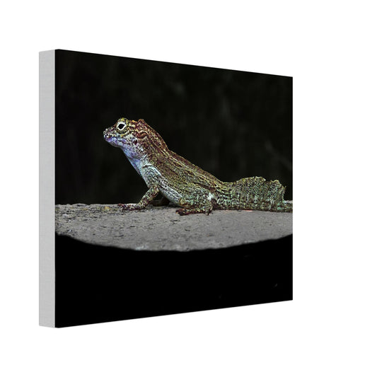 e234111c-2adb-49a4-ae9a-29b17abfcb0b