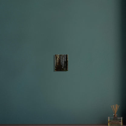 e2468971-49c1-4c0a-993e-cb41452652f2