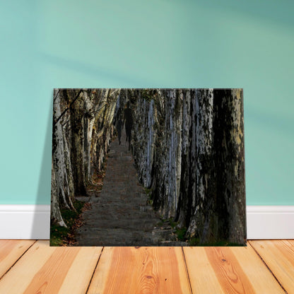 e65e6f0d-ca4f-43b5-81f6-45fb602eb309