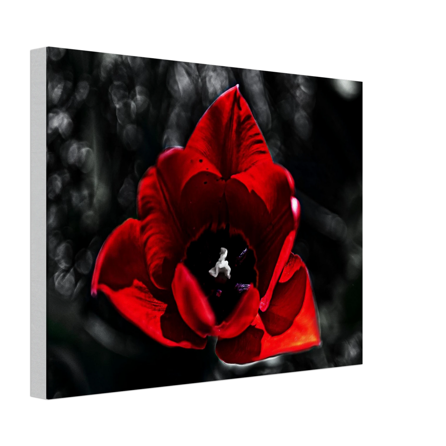 eaf02a35-f806-4310-8052-2deab439fcf0