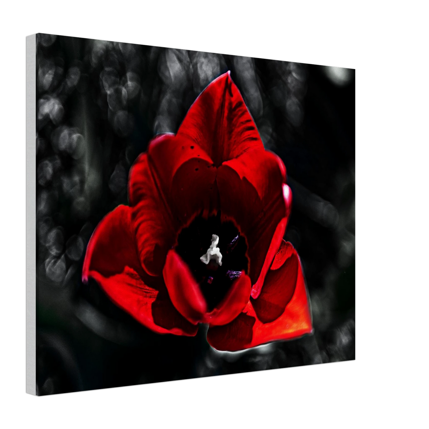 eb0802f6-1522-454e-89c1-8111c52613fd