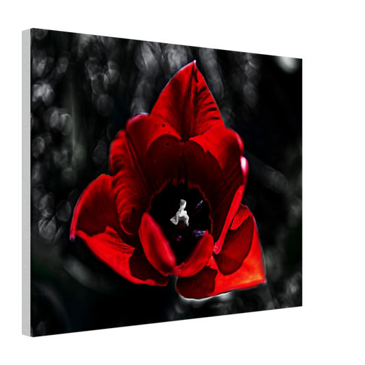 eb0802f6-1522-454e-89c1-8111c52613fd