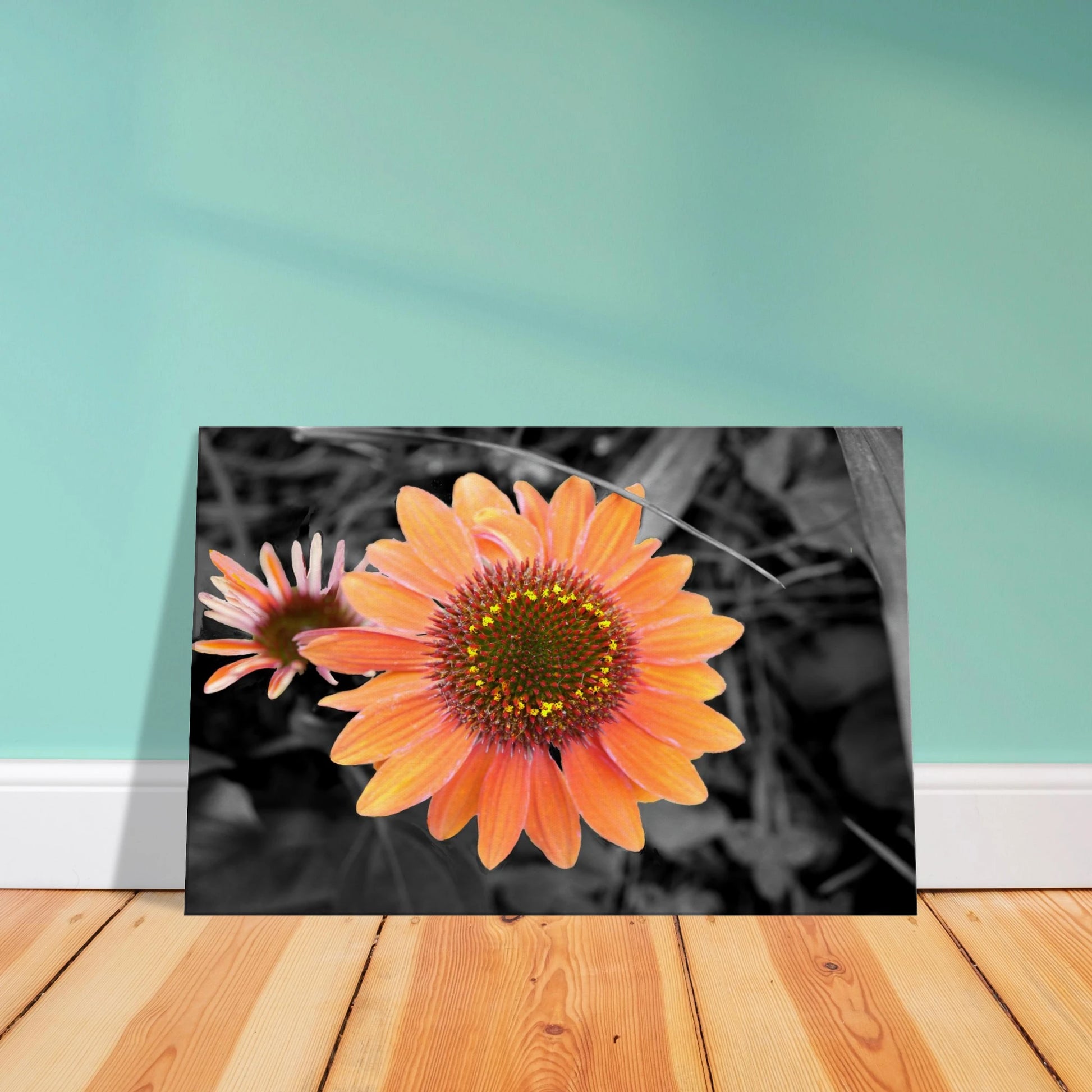 eb7724e4-717c-409d-a487-68cf9abcbd47