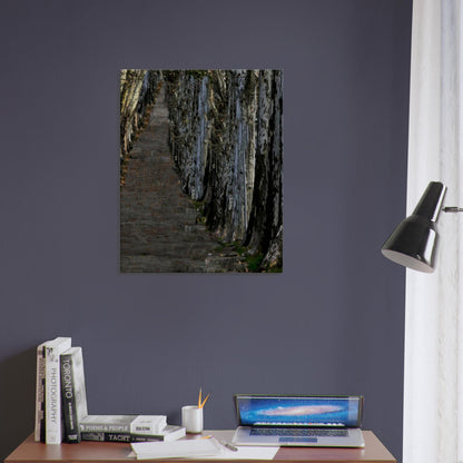 ec2436b6-9d03-4873-817b-51442c2accad