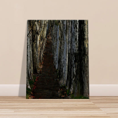 ed679553-de04-4d55-b447-fa69efee6330