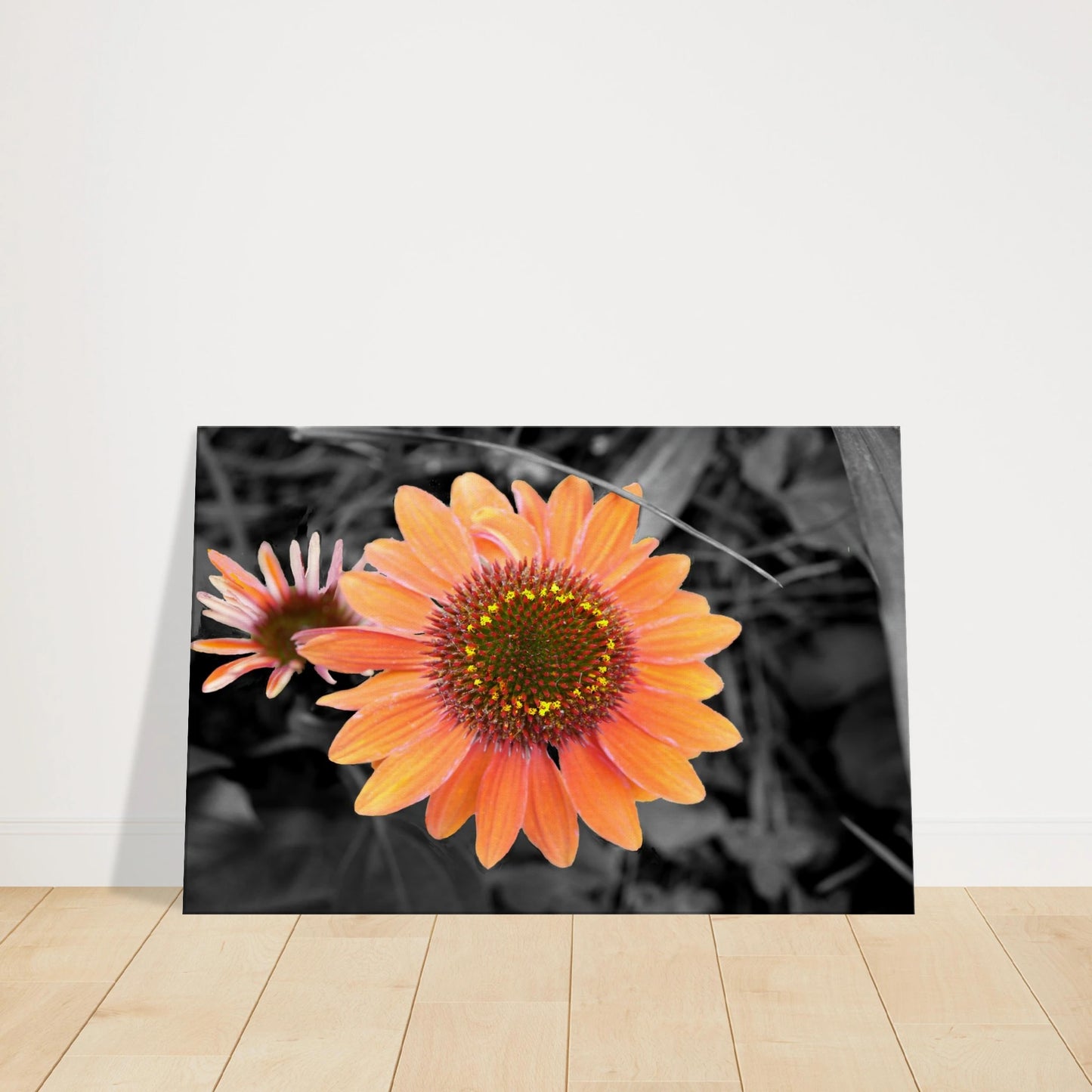 ee438bcd-5e2c-4348-88f7-60d535e9346d