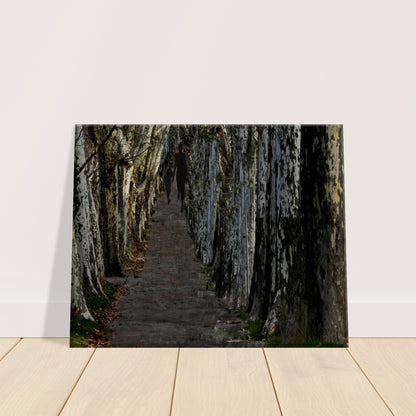 f09333fa-8587-40e1-94d7-d9ab6179fea8