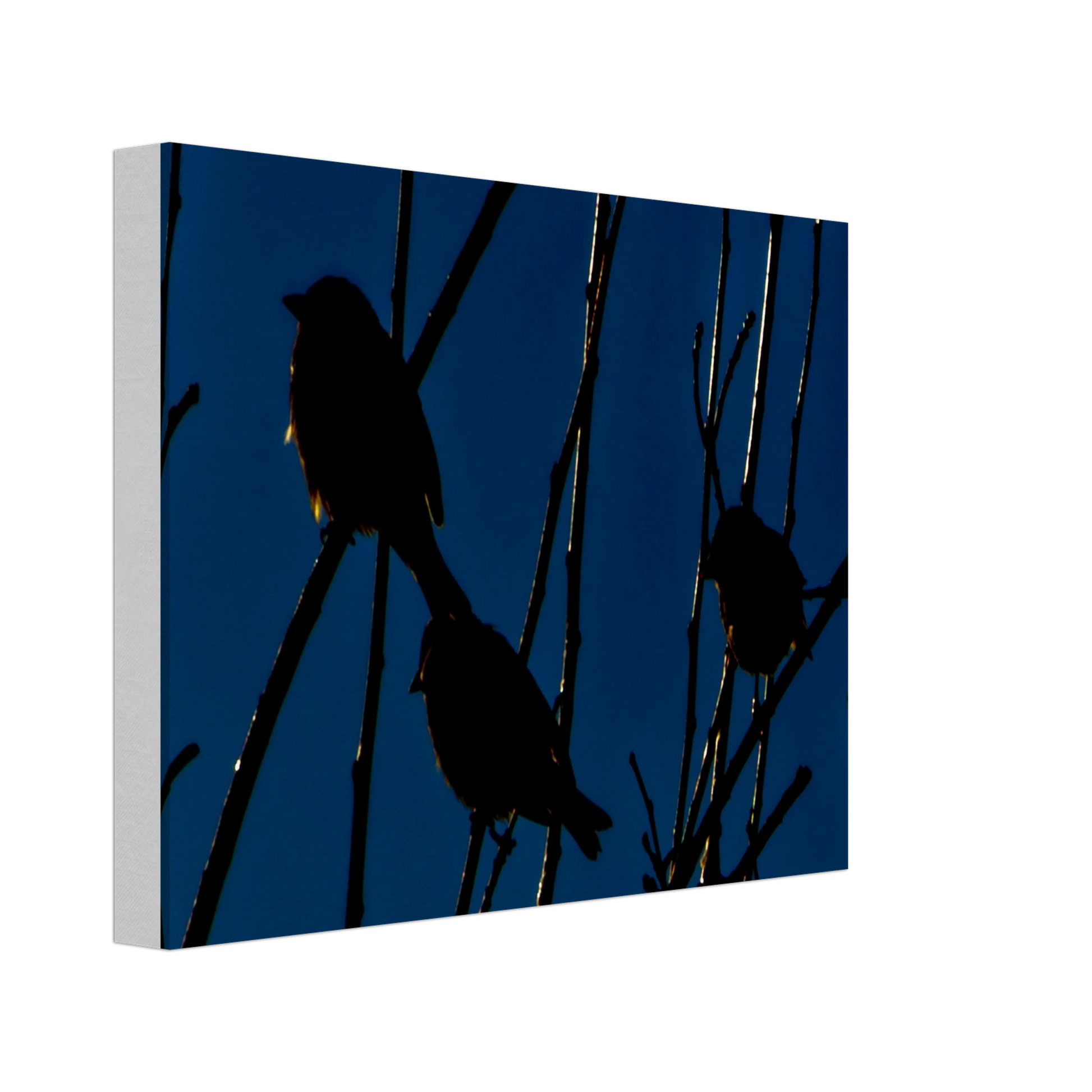 f4c7a432-ac68-4b28-8090-94bb76997372