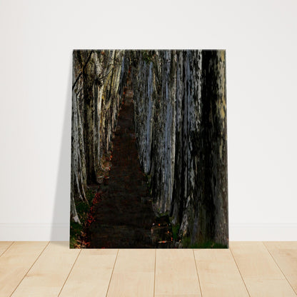 f7f8b07c-dc8d-47d9-9994-0f695df2375b