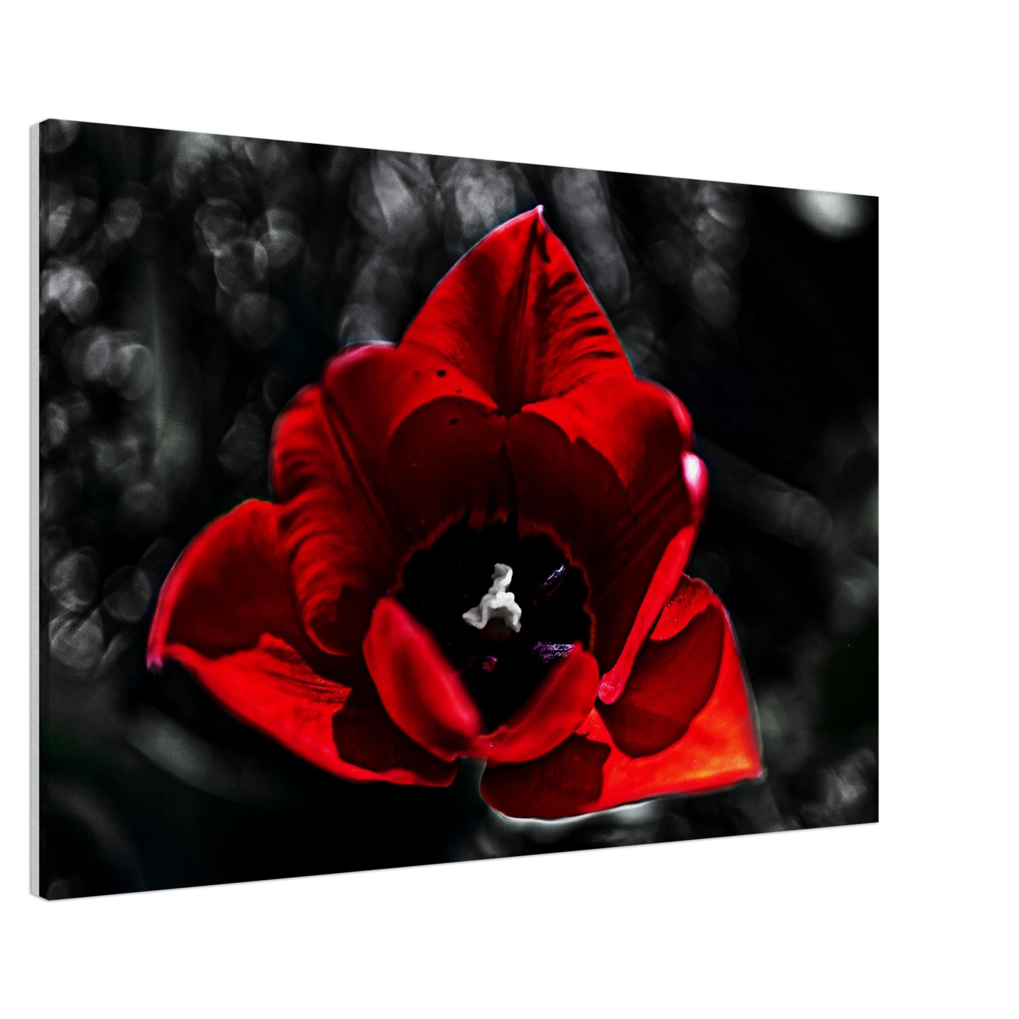 f923cdf3-218c-4793-9665-12cec4671d13