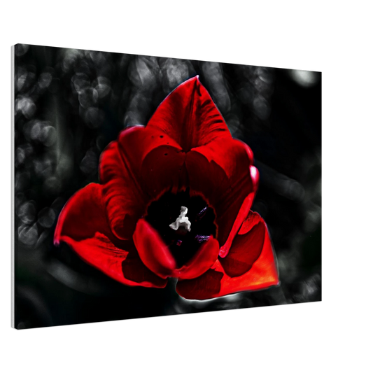 f923cdf3-218c-4793-9665-12cec4671d13