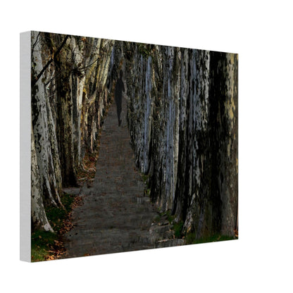 fb468078-1f37-4b32-9a62-05e45b60ce44